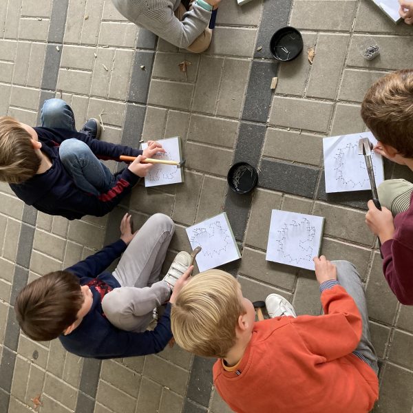 egeltjes timmeren