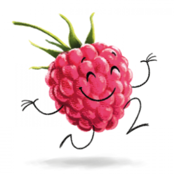 Olifantenklas: Gevoelens