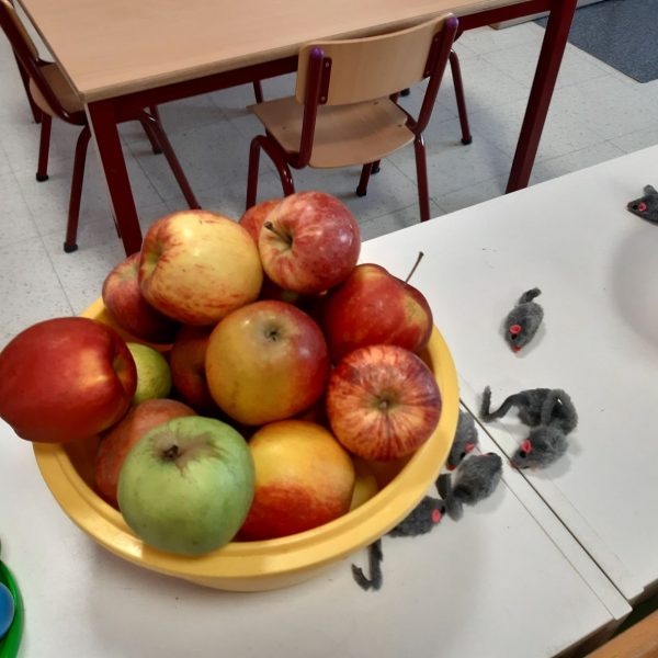 Vlinderklas : Een thema met het prentenboek "Kleine Muis zoekt een huis"