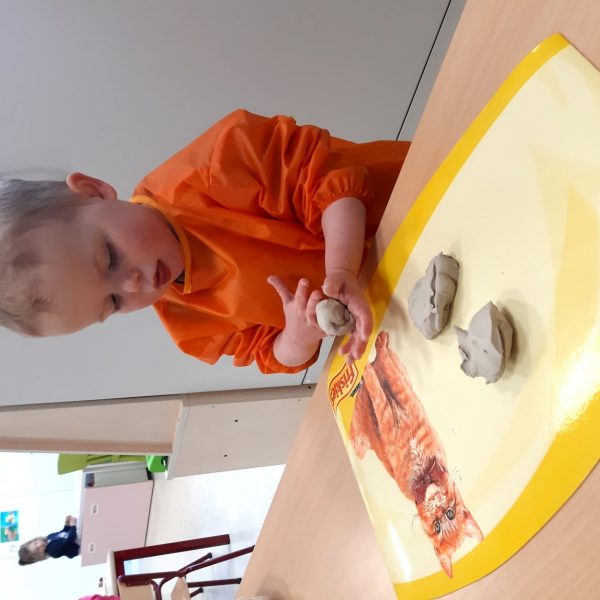 Vlinderklas : Een thema met het prentenboek "Kleine Muis zoekt een huis"