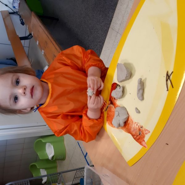 Vlinderklas : Een thema met het prentenboek "Kleine Muis zoekt een huis"