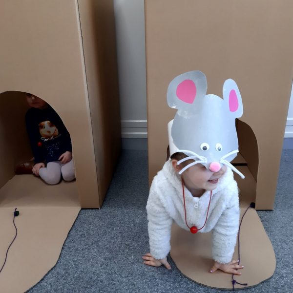 Vlinderklas : Een thema met het prentenboek "Kleine Muis zoekt een huis"