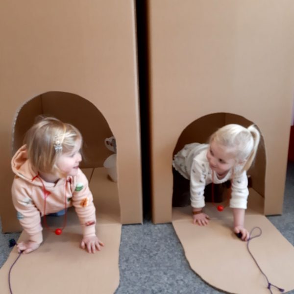 Vlinderklas : Een thema met het prentenboek "Kleine Muis zoekt een huis"