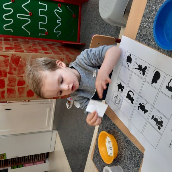 Vlinderklas : Een thema met het prentenboek "Kleine Muis zoekt een huis"