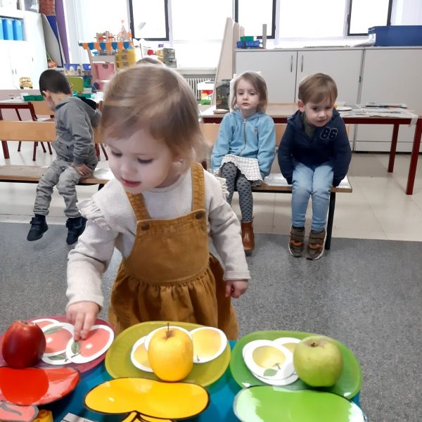 Vlinderklas : Een thema met het prentenboek "Kleine Muis zoekt een huis"