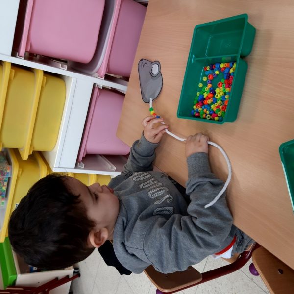 Vlinderklas : Een thema met het prentenboek "Kleine Muis zoekt een huis"