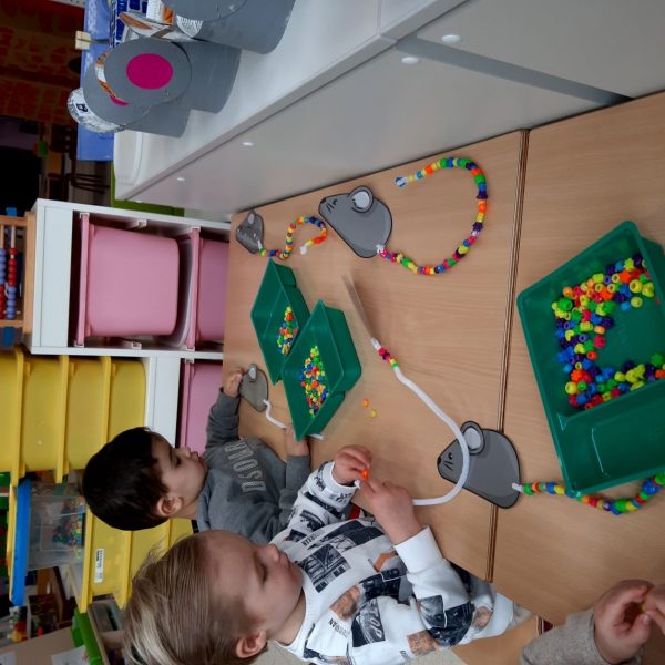 Vlinderklas : Een thema met het prentenboek "Kleine Muis zoekt een huis"