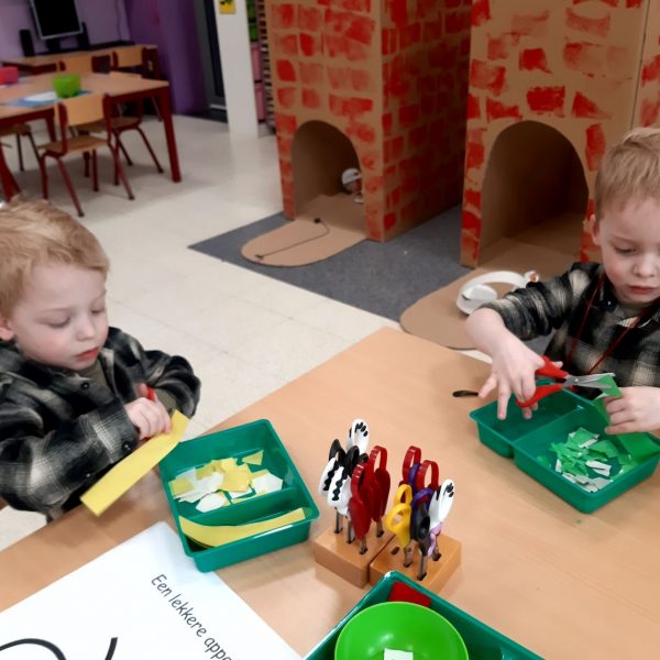 Vlinderklas : Een thema met het prentenboek "Kleine Muis zoekt een huis"