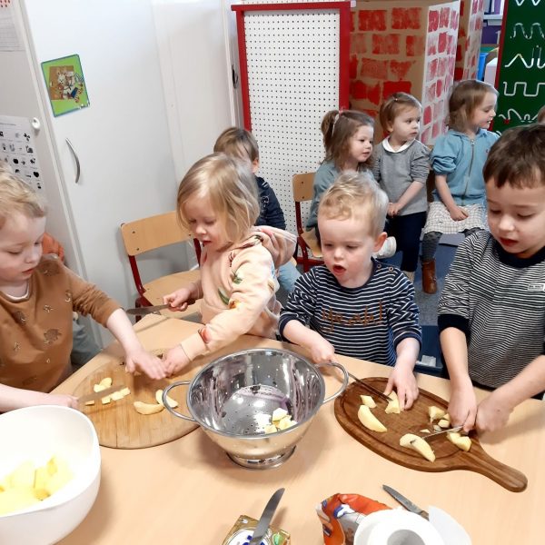 Vlinderklas : Een thema met het prentenboek "Kleine Muis zoekt een huis"