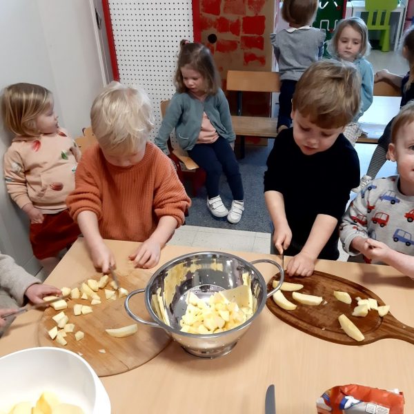 Vlinderklas : Een thema met het prentenboek "Kleine Muis zoekt een huis"