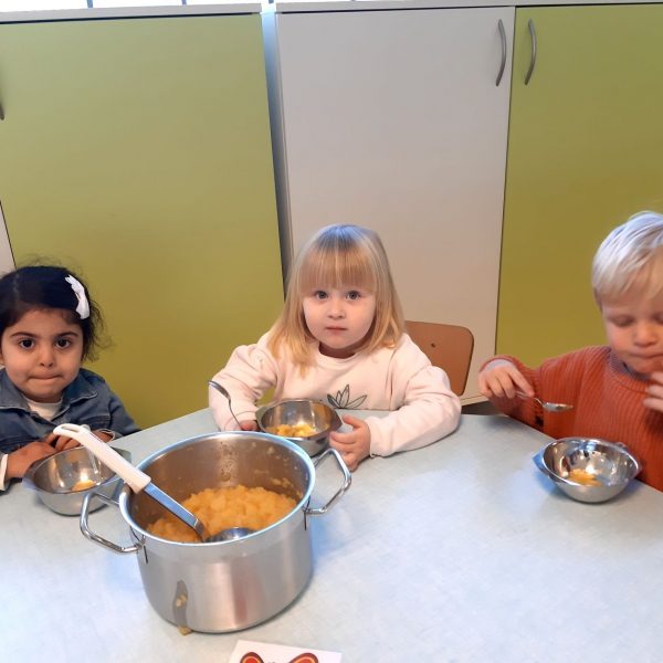 Vlinderklas : Een thema met het prentenboek "Kleine Muis zoekt een huis"