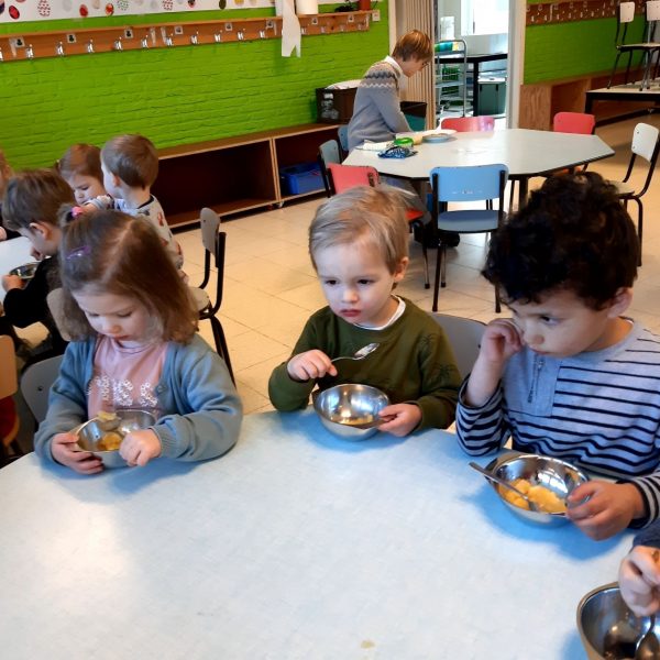 Vlinderklas : Een thema met het prentenboek "Kleine Muis zoekt een huis"