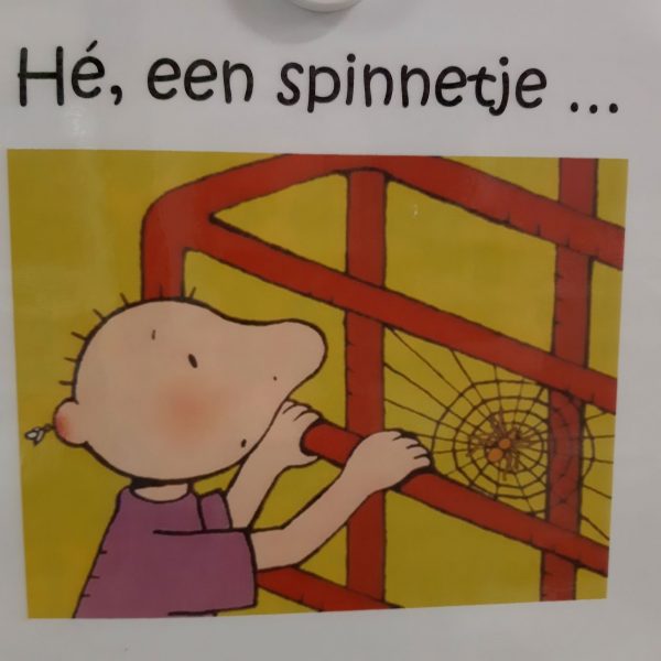 Vlinderklas : Het is herfst!!!
