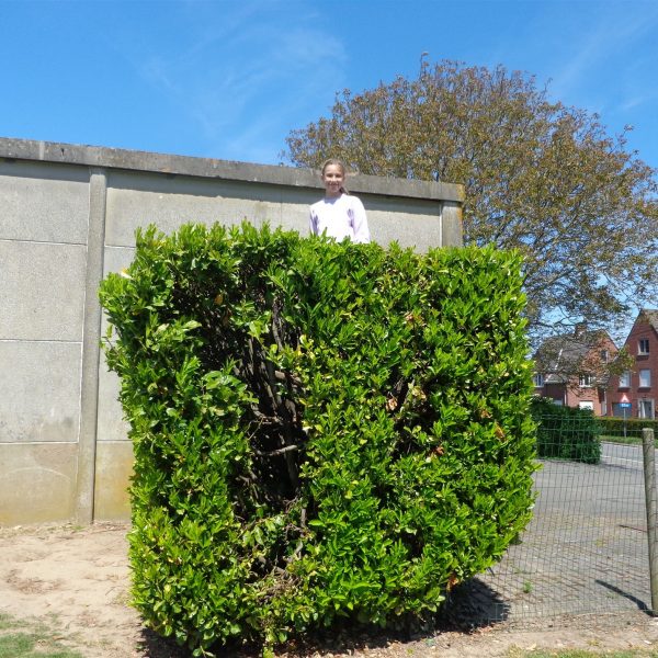 Het 6de op kamp