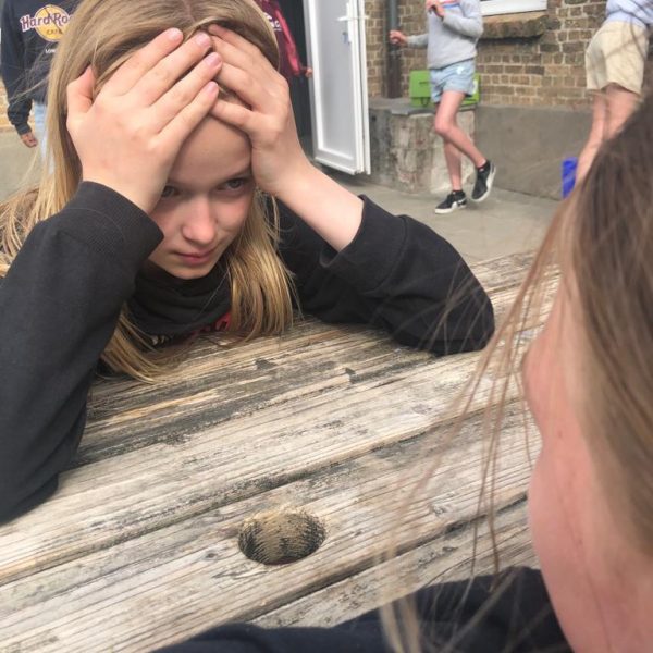 Het 6de op kamp