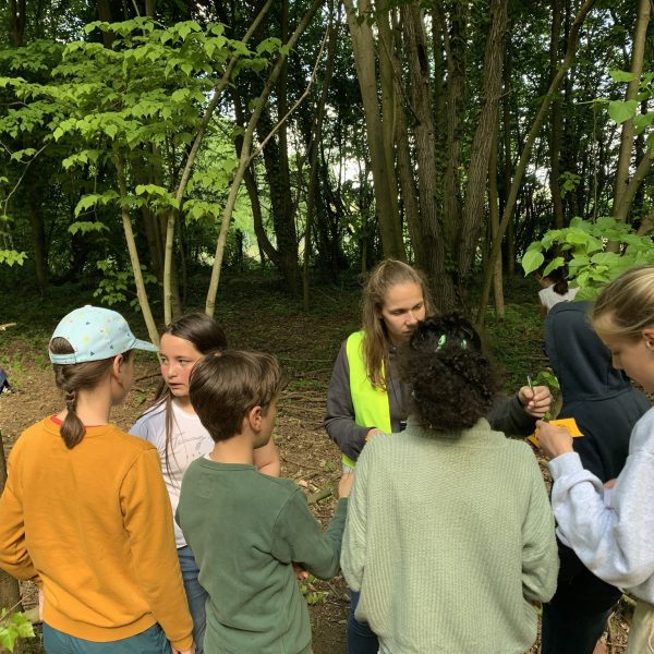 Het 6de op kamp