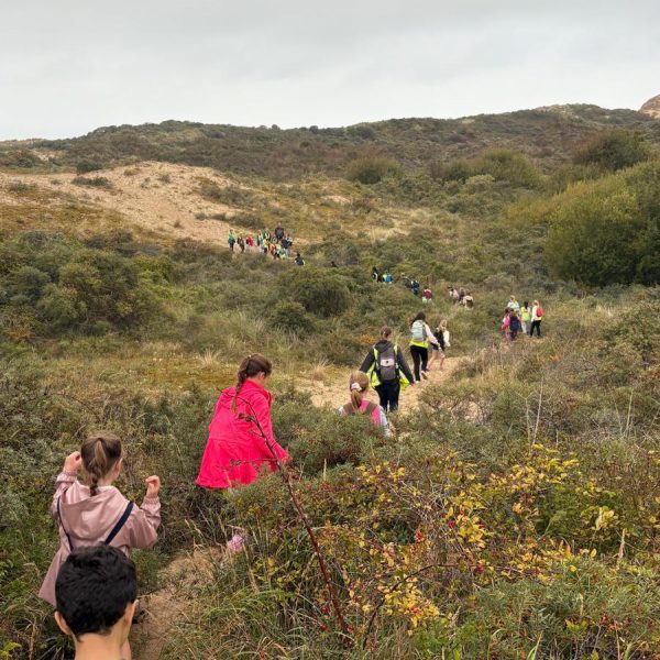 Op zeeklas (dinsdag)