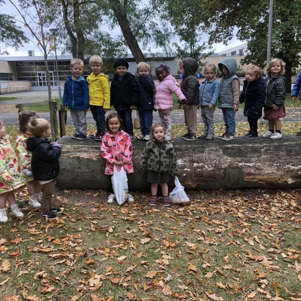 Herfst in de kikkerklas.