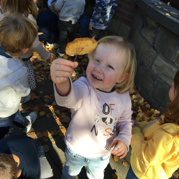 Herfst in de kikkerklas.