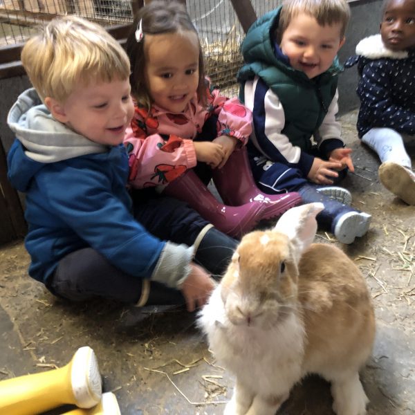 Kikkerklas: de boerderij.