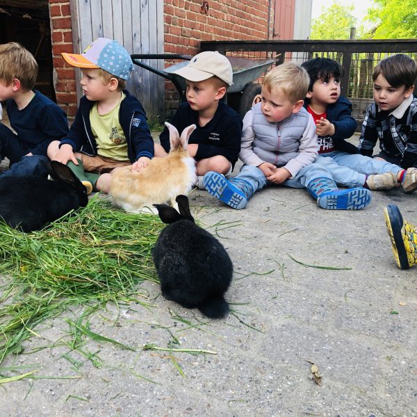Kikkerklas: thema boerderij.