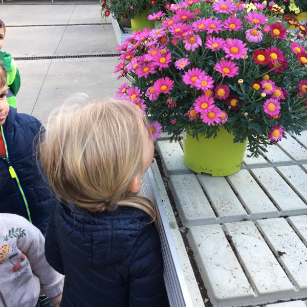 Kikkerklas: we zetten de mama's in de bloemetjes.