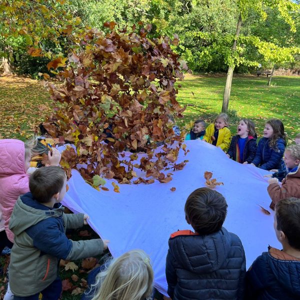 Met de giraffenklas de herfst opsnuiven in het Beukenhof