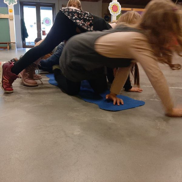 Herfst in de apenklas!