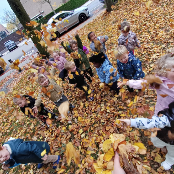 Vlinderklas: het is herfst!