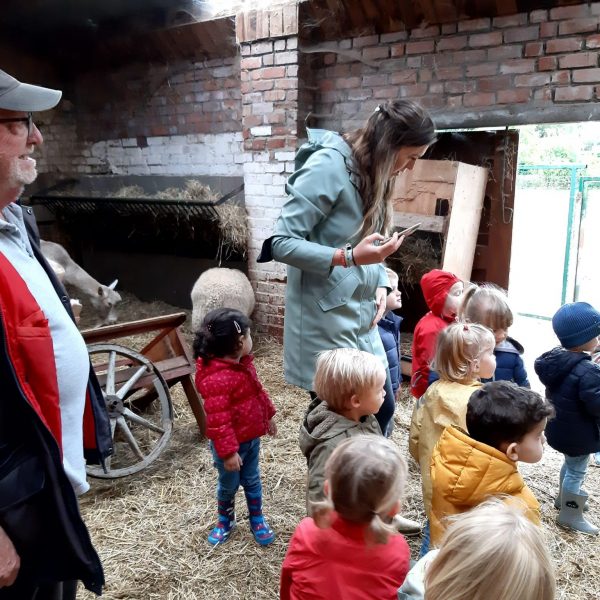 Vlinderklas: wij gaan naar de kinderboerderij!
