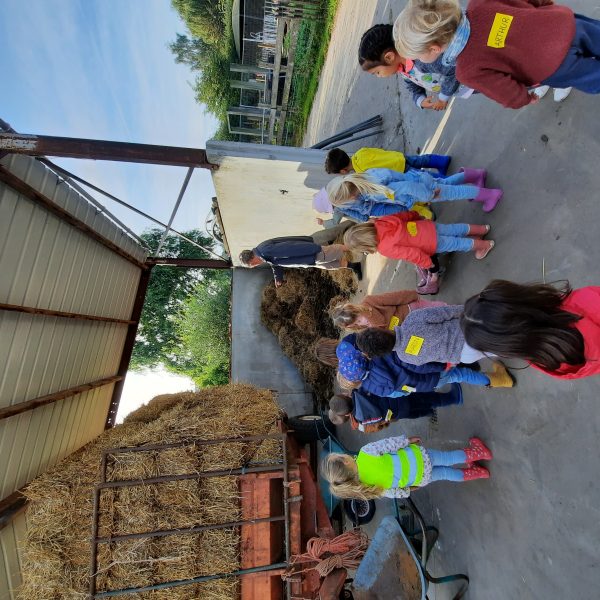 De uiltjesklas naar de kinderboerderij