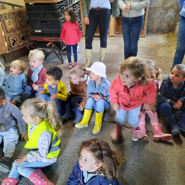 De uiltjesklas naar de kinderboerderij