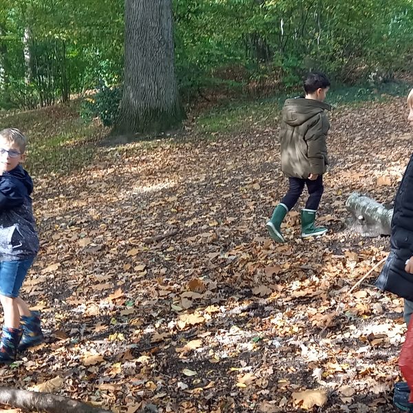Uitstap naar het bos.