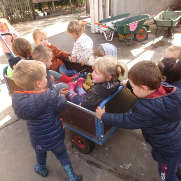 Met de bijtjesklas naar de kinderboerderij