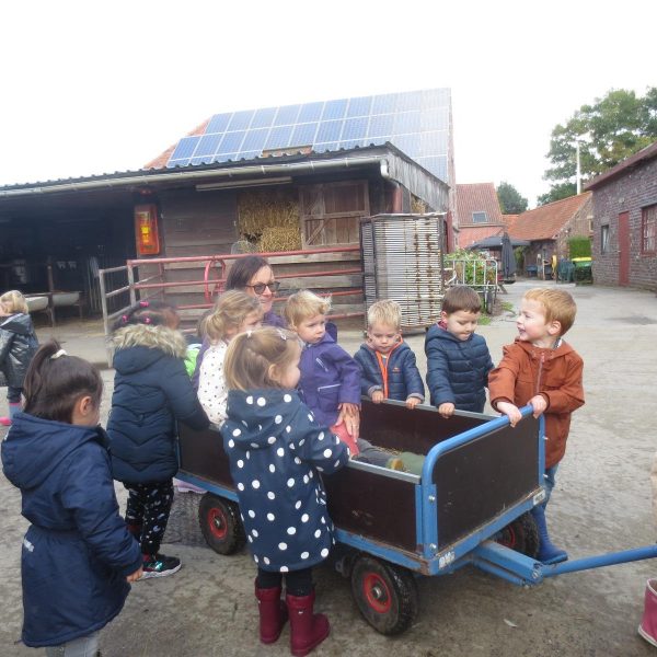 Met de bijtjesklas naar de kinderboerderij