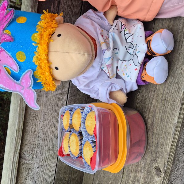 Dolfijnenklas: thema jarig zijn + naar de draaimolen