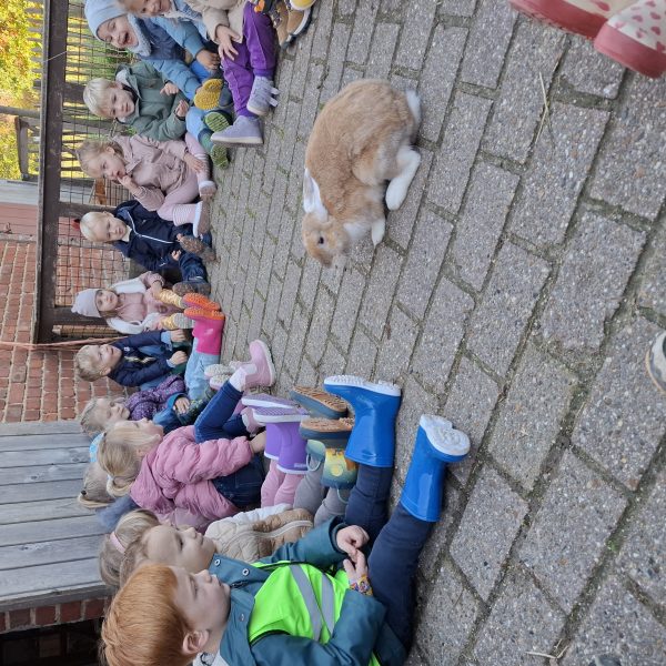 Bijenklas: Boerderijbezoek
