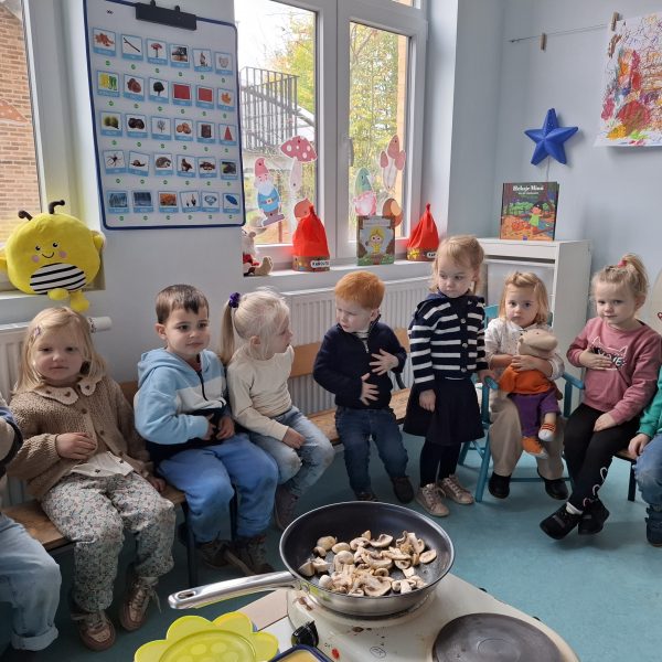 bijenklas: paddenstoelen en kabouters