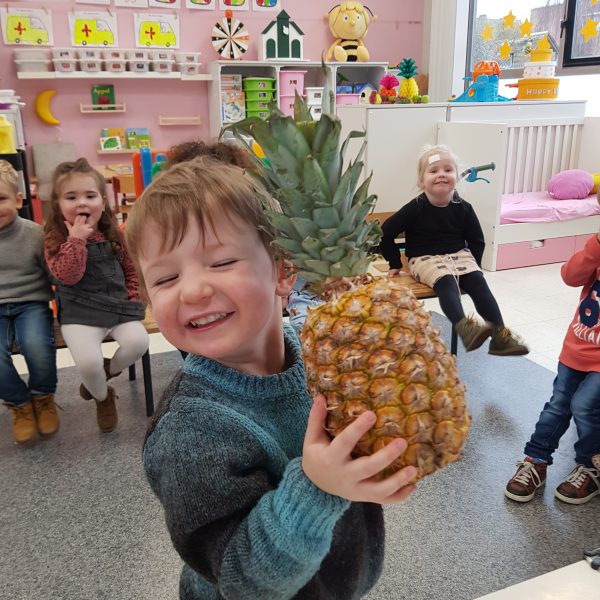 Bijenklas: thema fruit