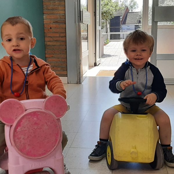 DOLFIJNENKLAS: bloemetjes in de lente