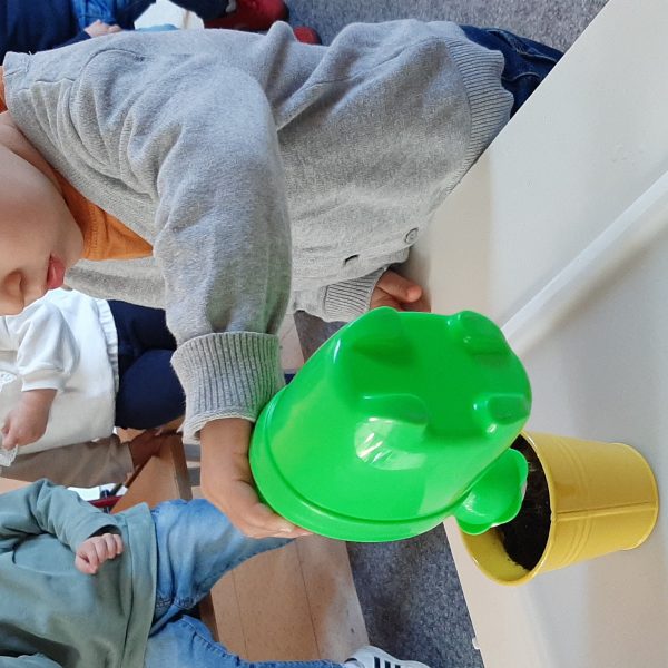 DOLFIJNENKLAS: bloemetjes in de lente