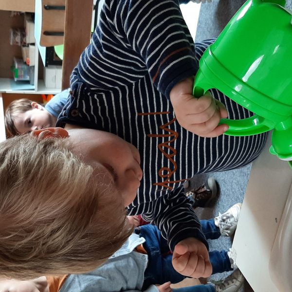 DOLFIJNENKLAS: bloemetjes in de lente