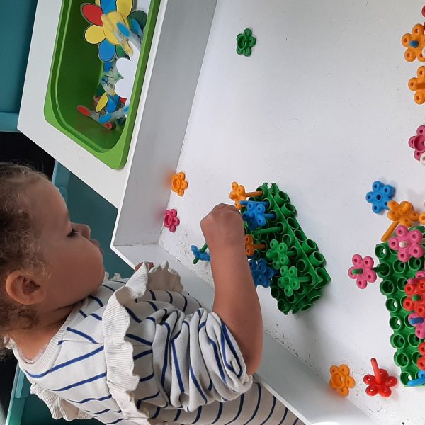 DOLFIJNENKLAS: bloemetjes in de lente
