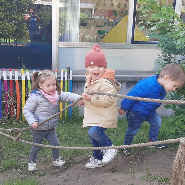 DOLFIJNENKLAS: bloemetjes in de lente