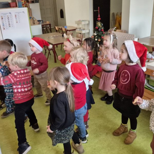 Dolfijnenklas: bijna Kerstmis...