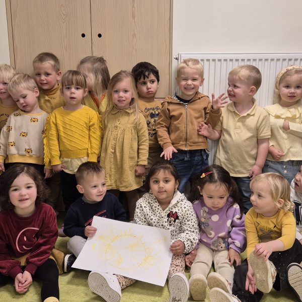 Dolfijnenklas: Kleuren en vormen