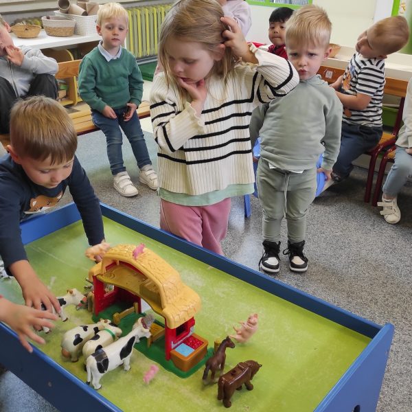 Dolfijnenklas: mijn beestige mama