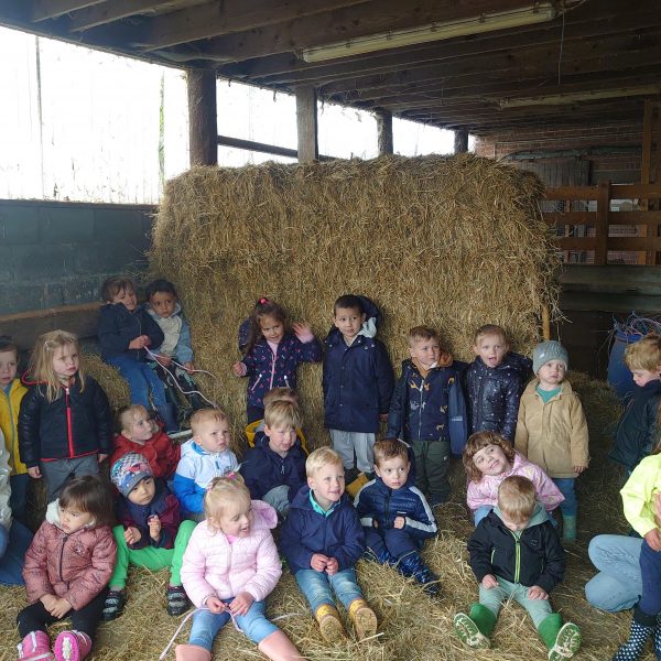 Dolfijnenklas: uitstap naar de kinderboerderij