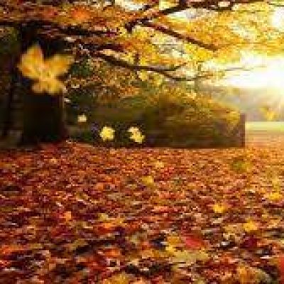 Begin herfstvakantie